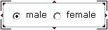 input radiobox component, radiobox component, form