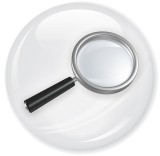 web search services, index services, search components, search services