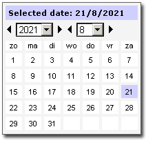 Date picker