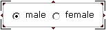 input radiobox component, radiobox component, form